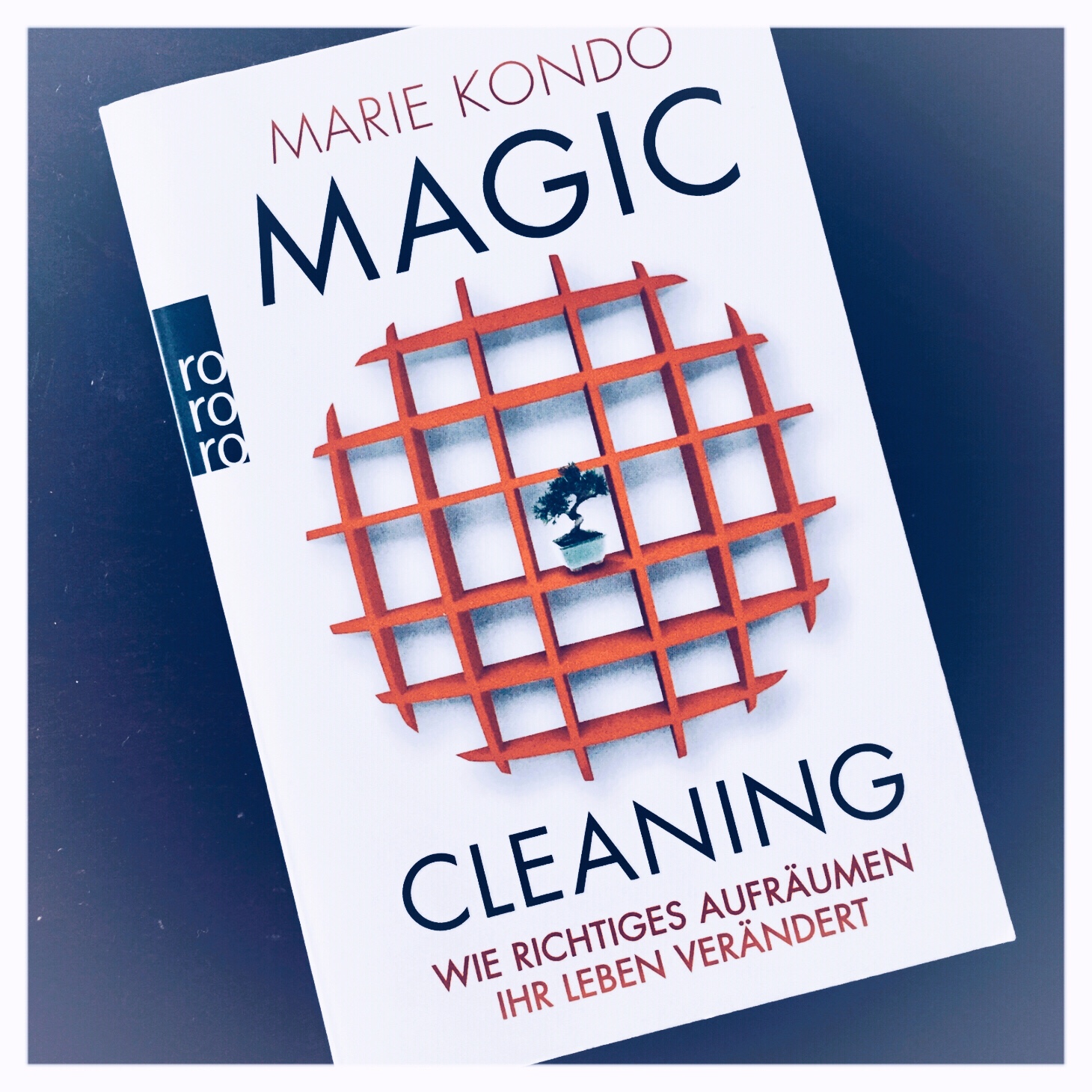 'magic cleaning Marina Dietrich'